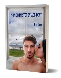 thumbnail_PRIME MINISTER BY ACCIDENT_3D Book Cover